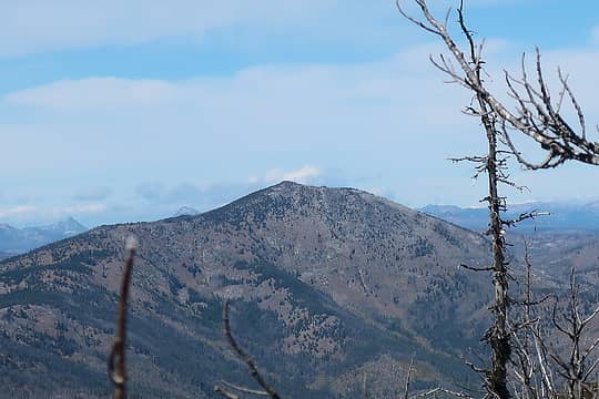 Old Baldy (why do I keep typing it as Old Badly?) from Granite Mountain