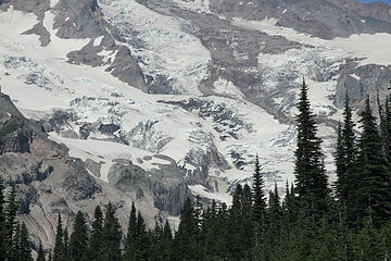 Trees and Glaciers