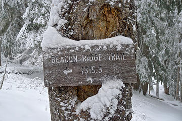 Beacon ridge trail turn-off