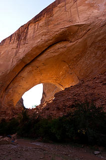 Jacob Hamlin Arch