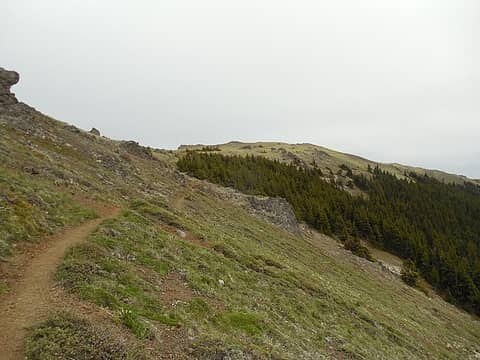 summit in view