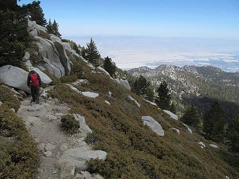 Escaping the heat on the mountain slopes 10,000 feet above the desert floor...
