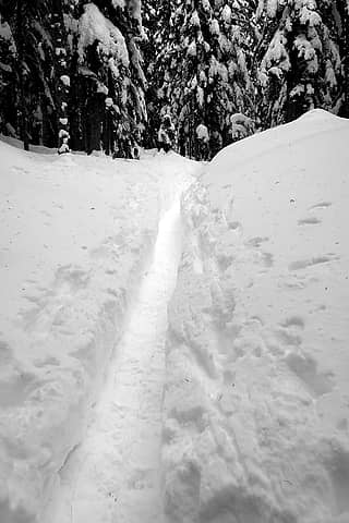 Snowshoe trench