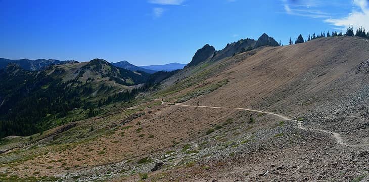 the PCT looking south from Cispus Pass
