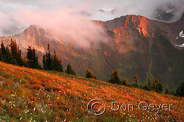 Evening light and storm clouds on the ridge above Lost Pass, Olympic National Park, Washington, USA.