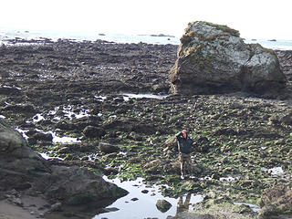 playing at low tide infront of the Sand Pt. rock
