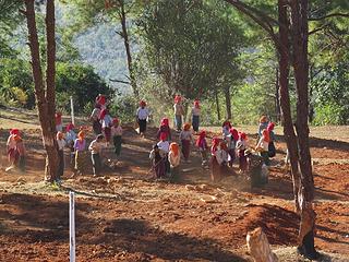 This crew was working on a trekker's lodge, we were told.  The red headscarves are a distinguishing item of the Pa'O tribe.
