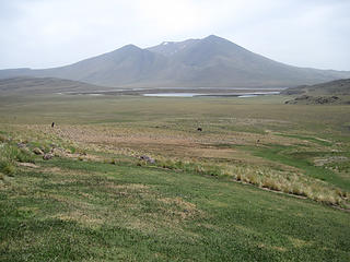 Cerro Wayle from base of Tromen volcano