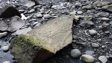 Petroglyph at Wedding Rocks