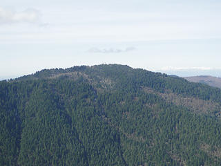 Squak Mountain, site of Saturdays hike.