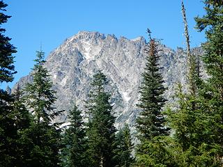 Summit Chief from Lemah Meadows