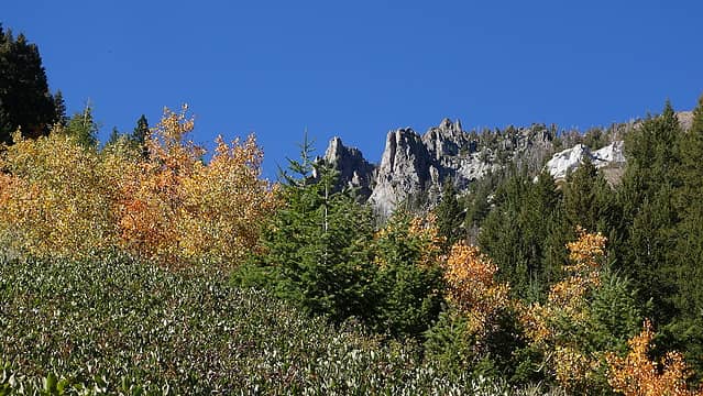 Fall foliage with granite cliffs