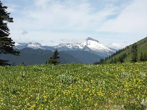 Whitehorse Mtn from White Pass