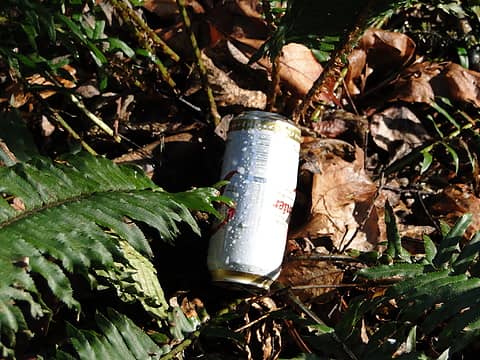 For the angry hiker.... This bud's for you. Well it ain't a bud but... Nice trailside litter.