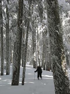 Hiking through the snowy forest