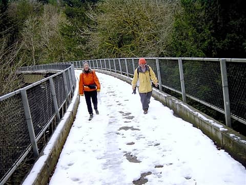 Sno Valley trail bridge