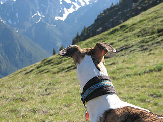 Rowena checks out the Silver Lake Pass