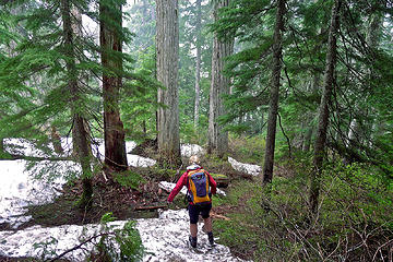 Below the snow we slowed down a lot to navigate the wet and slippery trail full of roots and mossy logs