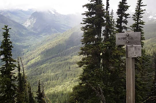alpine lookout trail