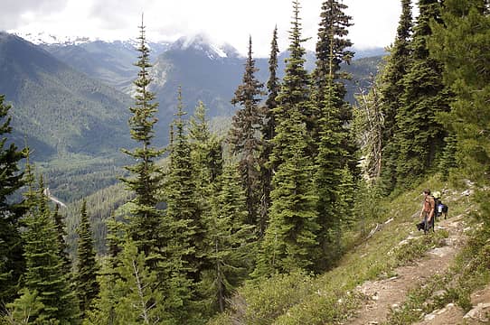 alpine lookout trail