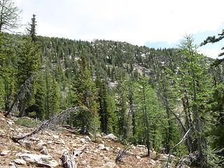 Can see the upper part of the ridge that connects to Obstruction Peak