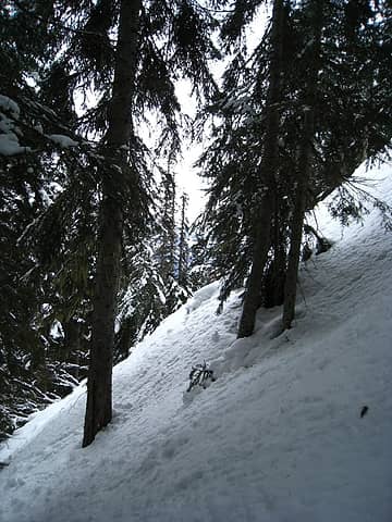 steep slopes heading up the north-facing hillside