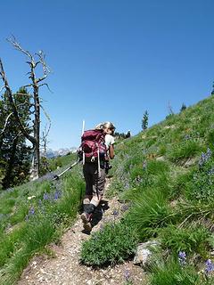 Basalt Ridge Trail