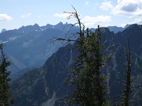 Needles in background