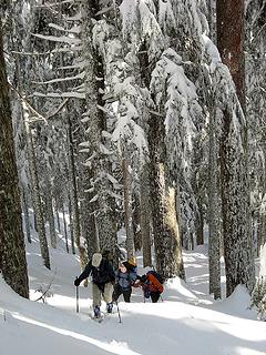 Snowshoers near the crest 3