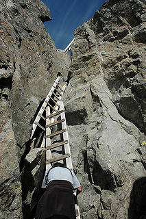 Bob Descending Ladders