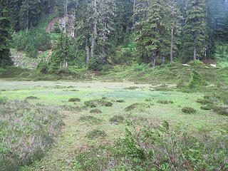Meadows around lake