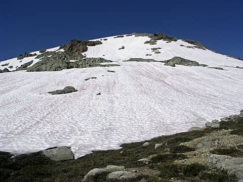 Snowfield to the S.E. ridge