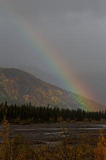 Rainbow near park road, Denali National Park