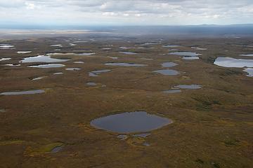 Tundra ponds and lakes, Denali National Park