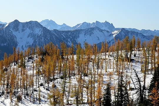 Larches along the way, with Handcock Ridge, Silver Star, and Needles
