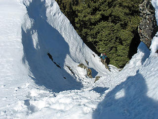 Looking Down Gully