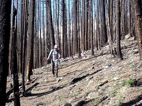 Hiking out through the burn