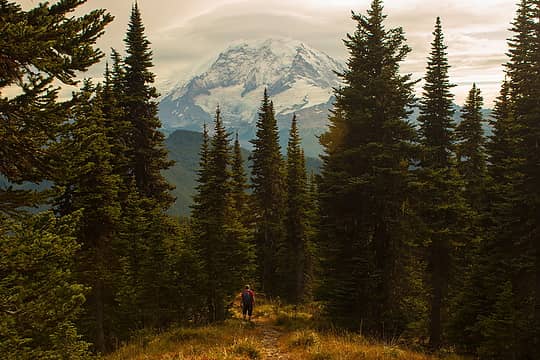 Rainier seen from the Clearwater Wilderness.