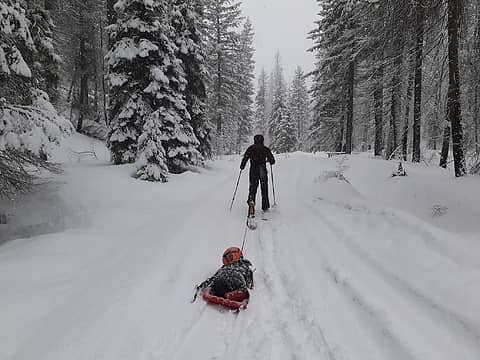 Skiing out the Entiat River Road