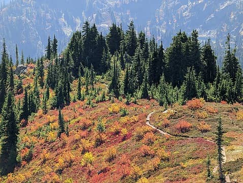 Meandering trail to Alta