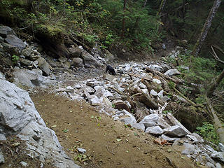 Pratt River Trail