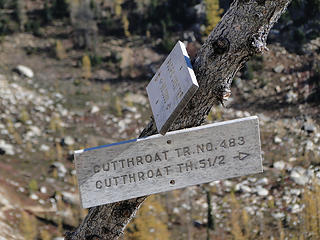 Trail junction off PCT to Cutthroat Lake trail.