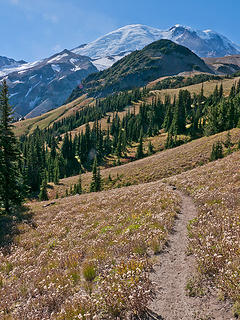 Cascade Gold. 
MRNP, White River campground to Sunrise 2nd Burroughs, to Glacier basin loop 10/07/12