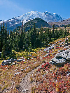 Mtn meadow 
MRNP, White River campground to Sunrise 2nd Burroughs, to Glacier basin loop 10/07/12