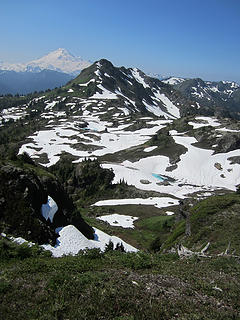 Mount Baker in the distance from Yellow Aster Butte