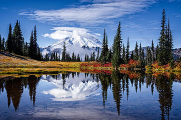 Colors are every where at the Tipsoo Lake in Mount Rainer National Park.