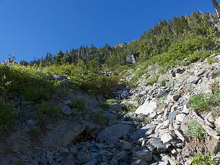 Looking up steep gully