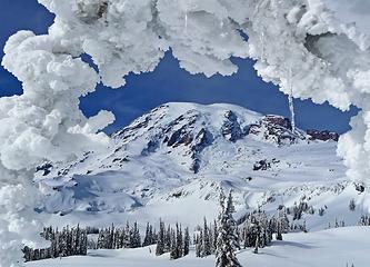 Framing Mount Rainier