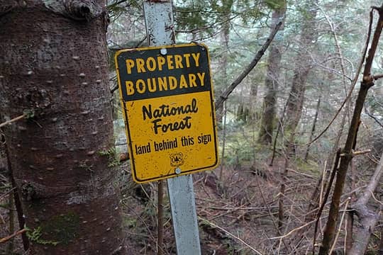 Old National Forest boundary sign beyond the creek