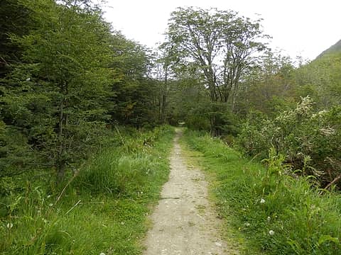 'fake trail'